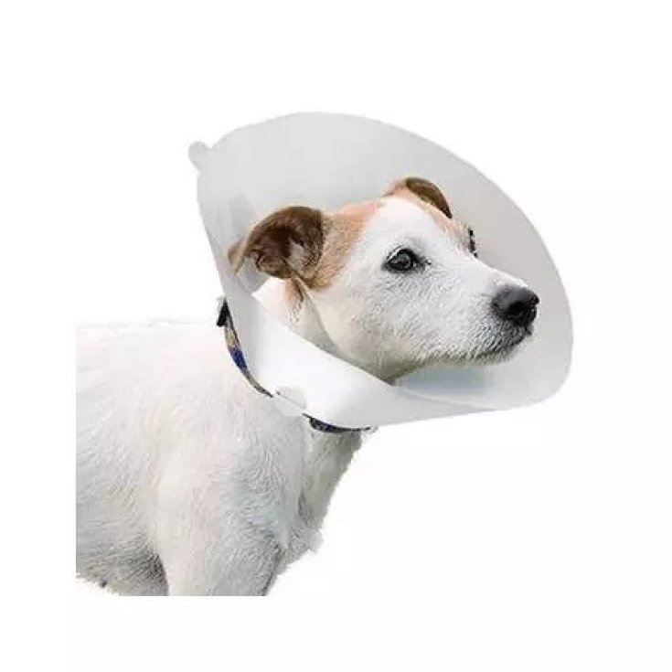 LEOPET COLL ELIZABETAN 15