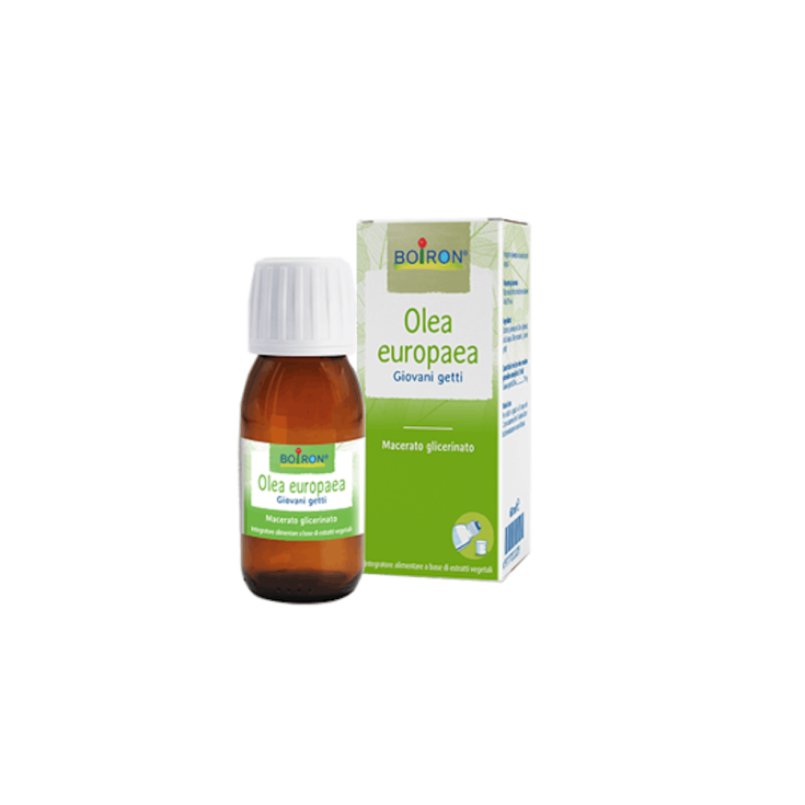 Olea Europaea Boiron Glycerinmazerat 60ml