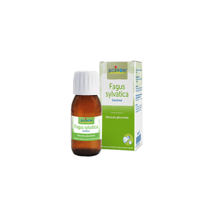 Fagus Sylvatica Boiron 60ml