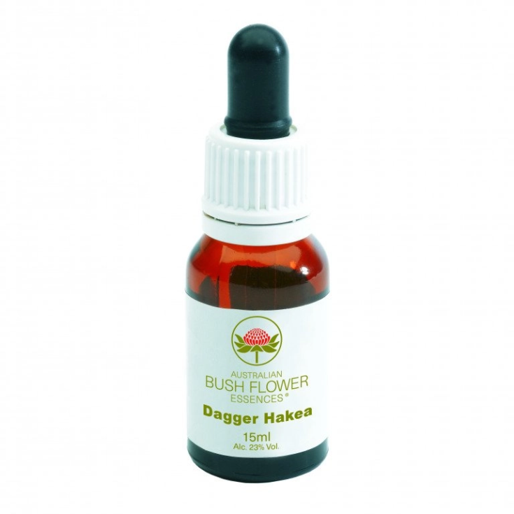 Dolch Hakea Australische Buschblume 15ml