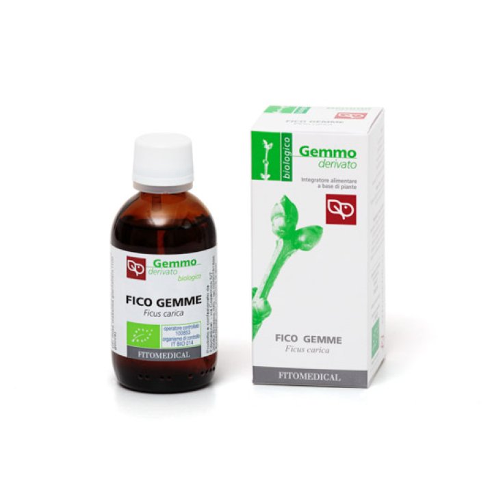 Feige Gemme MG Bio FITOMEDICAL 50ml