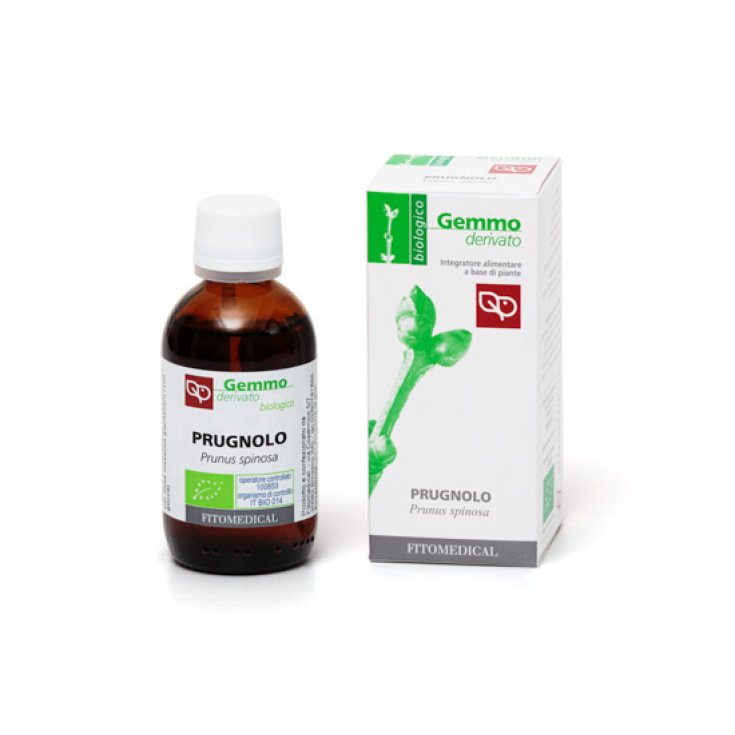 Schlehe Mg Bio Fitomedical 50ml