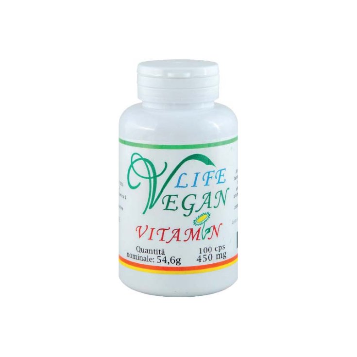 Life Vitamin 2000 Atena Bio 100 Kapseln