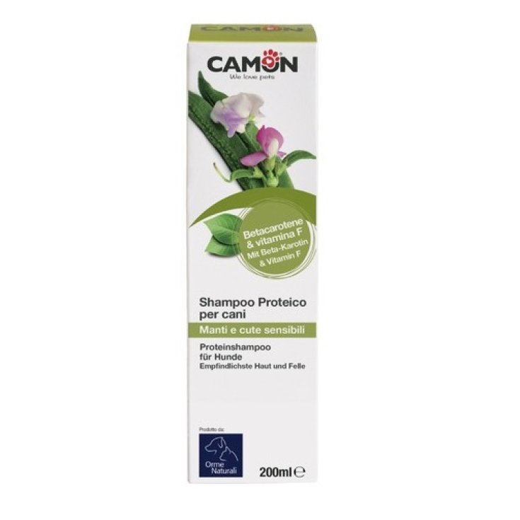 Beauty Camon Protein-Shampoo 200ml