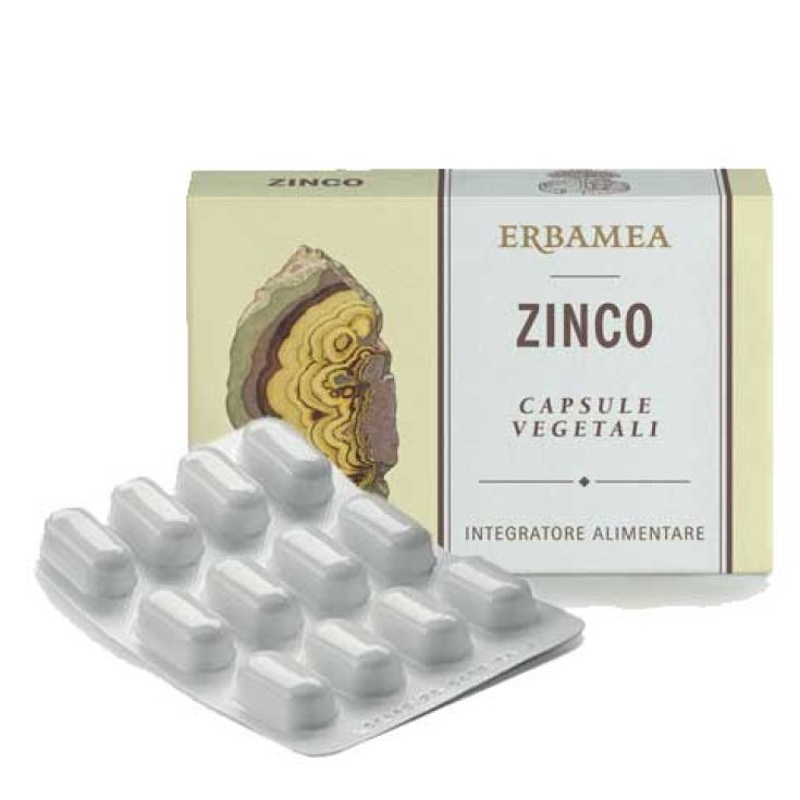 Zink ERBAMEA® 24 Vegetarische Kapseln