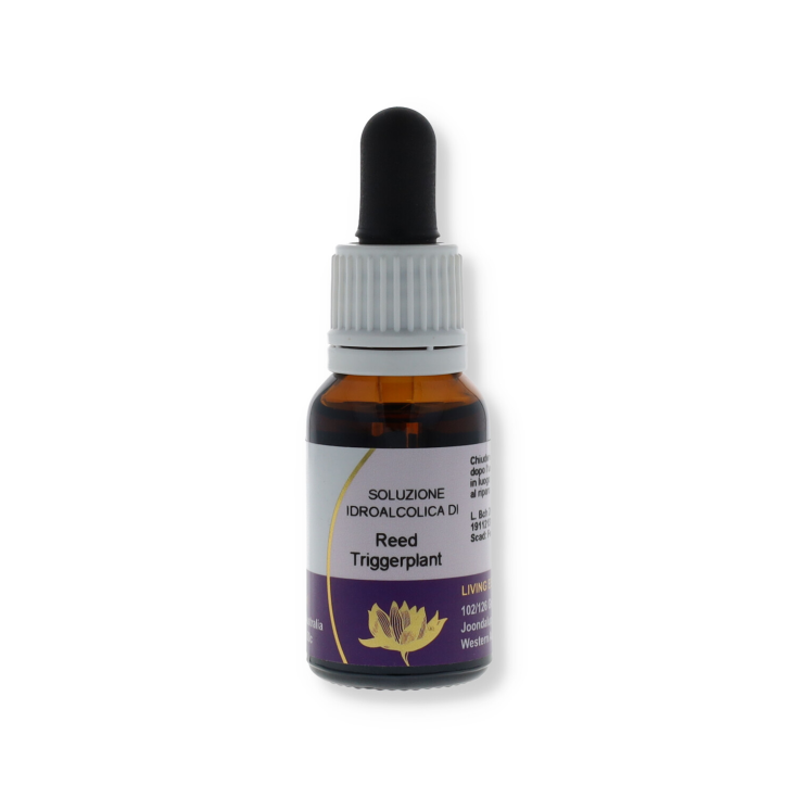 Schilfrohrpflanze Naturitas 15ml