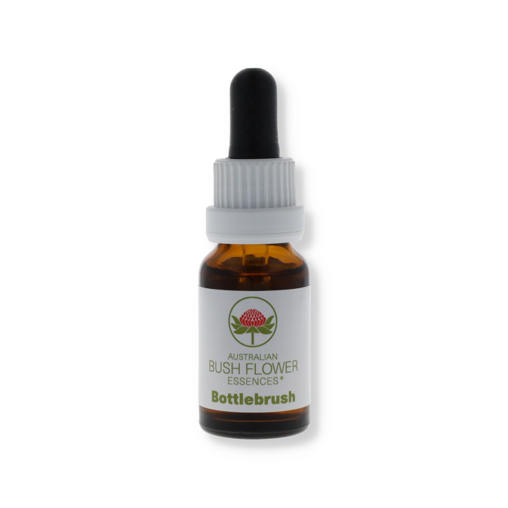 FLASCHENBÜRSTE ESSENZA NATUR® 15ML