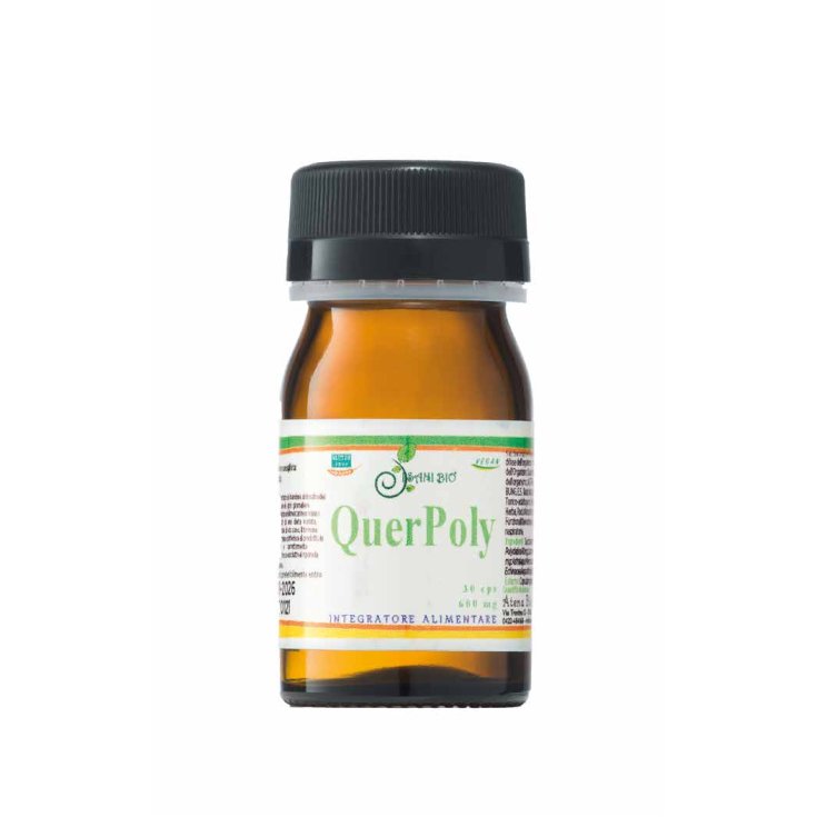 QuerPoly Athena 30 Kapseln