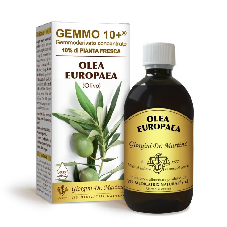 Olivo Gemmoderivato Konzentriertes Gemmo10 + Dr. Giorgini 500ml