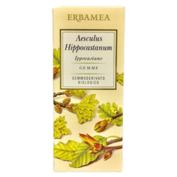 Aesculus Hippocastanum Erbamea 50ml