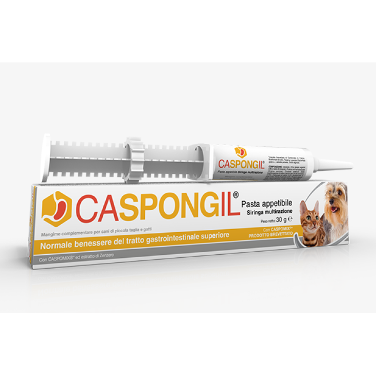 Caspongil® Nudeln Shedir pharma® 30g