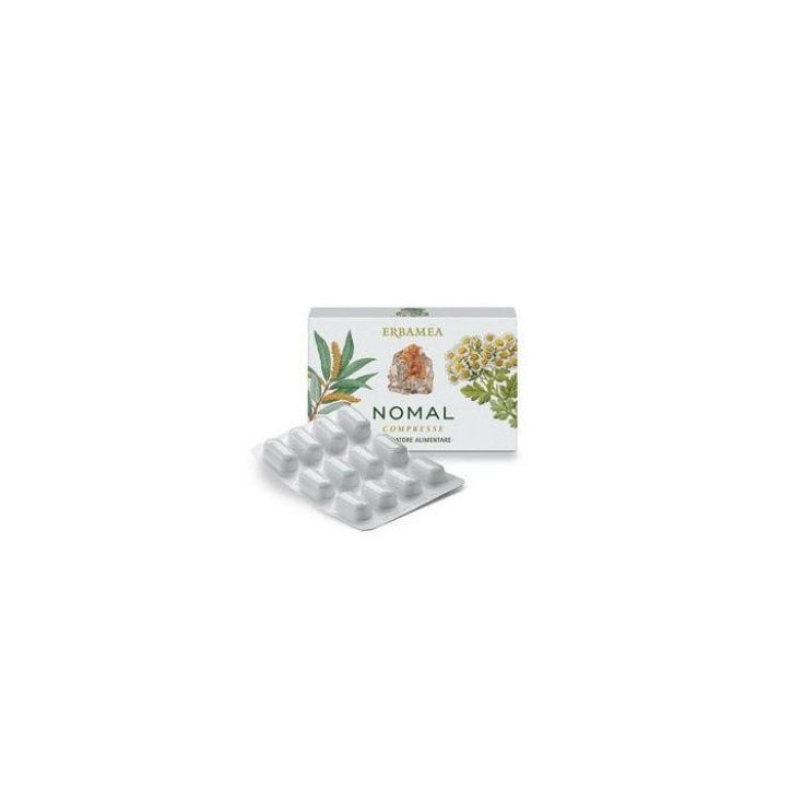 Normale ERBAMEA 24 Tabletten