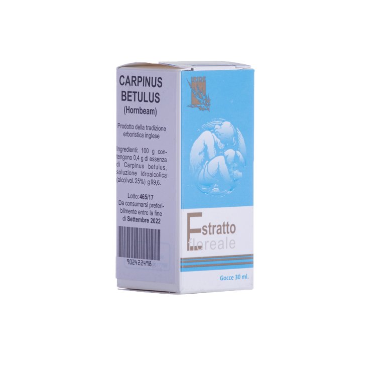 Carpinus Betulus Iride 2000 30ml