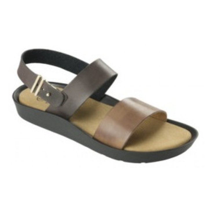 MAMORE SANDALE DAMEN BRW / BRW N40 Dr. Scholl's®