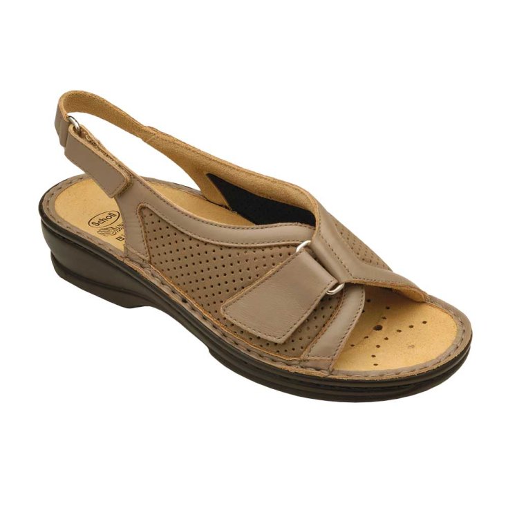 Gelsomina Nappaleder Elastisches Textil Damen Taupe N37 Dr. Scholl's®