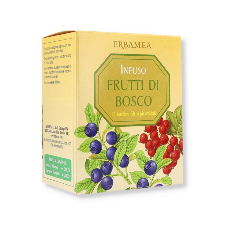 Infusion Beeren ERBAMEA 45g