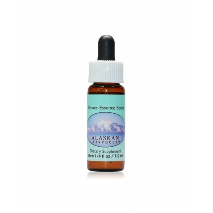 DAMEN TRESSES Alaskan Essences 7,4ml