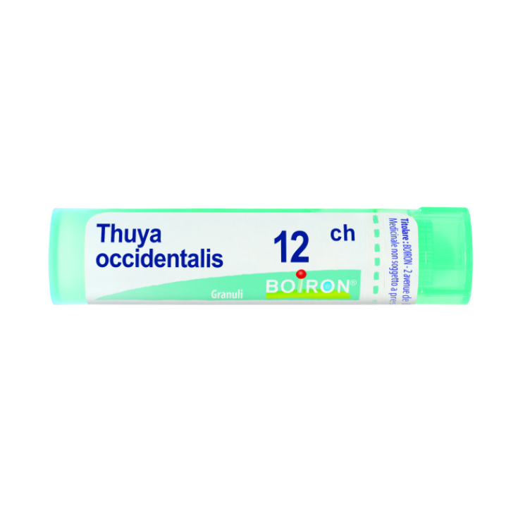 Thuya Occidentalis 12CH Boiron Homöopathisches Granulat