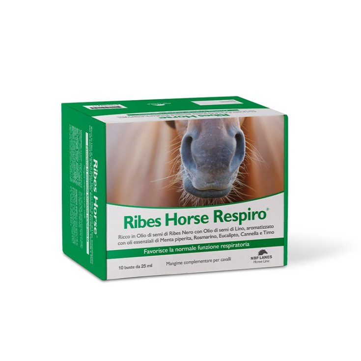 Ribes Horse Respiro NBF Bahnen 10 Umschläge