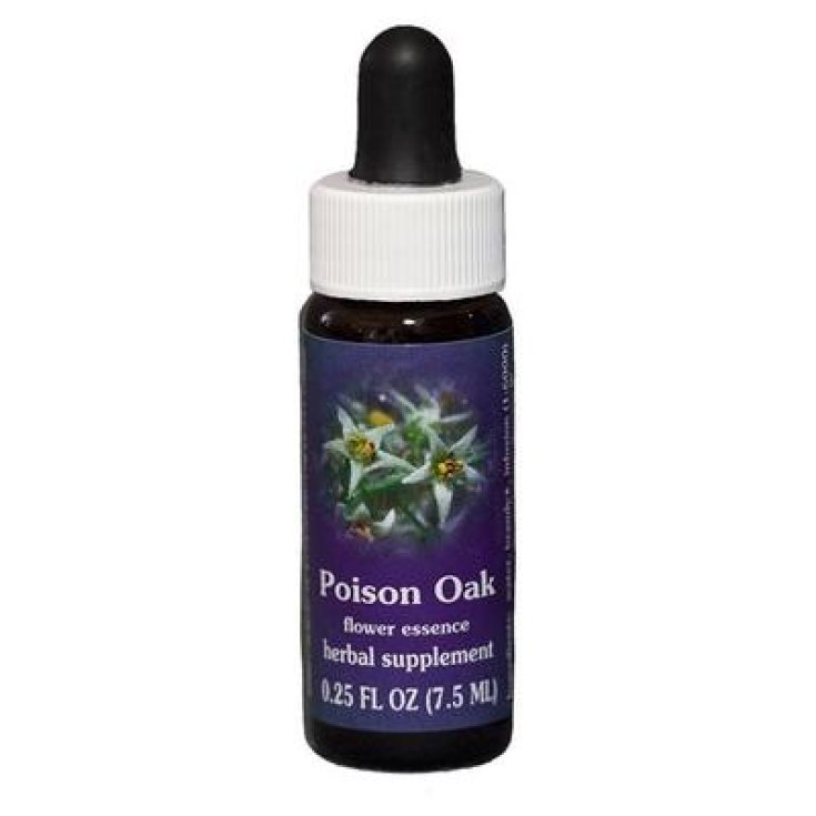 Poison Oak Kalifornische Essenz 7,4 ml