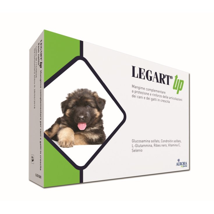 Legart Up Aurora BioFarma 120 Tabletten