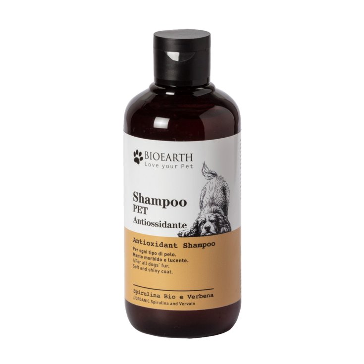 BIOEARTH Antioxidans-PET-Shampoo 250ml