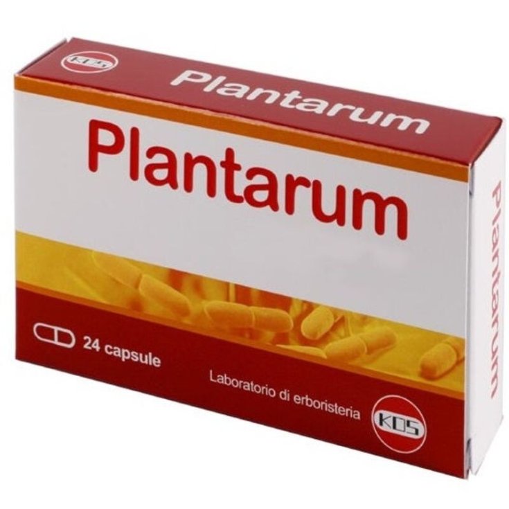 PLANTARUM 10MLD KOS® 24 Kapseln