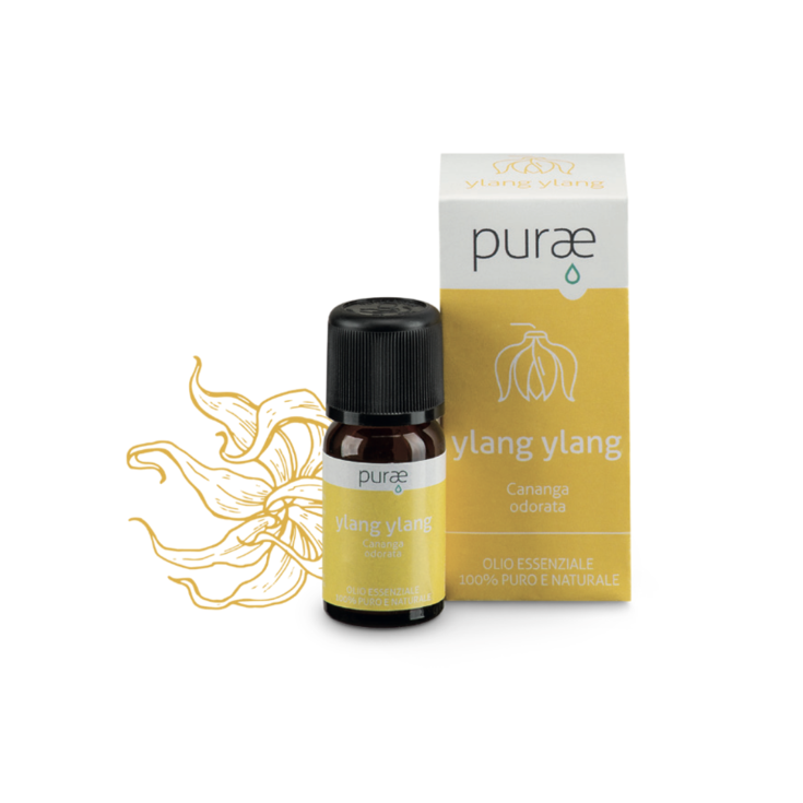 Ylang-Ylang-Purae 10ml