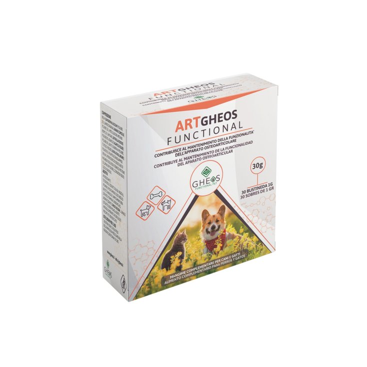 Artgheos Functional GHEOS® 30 Beutel