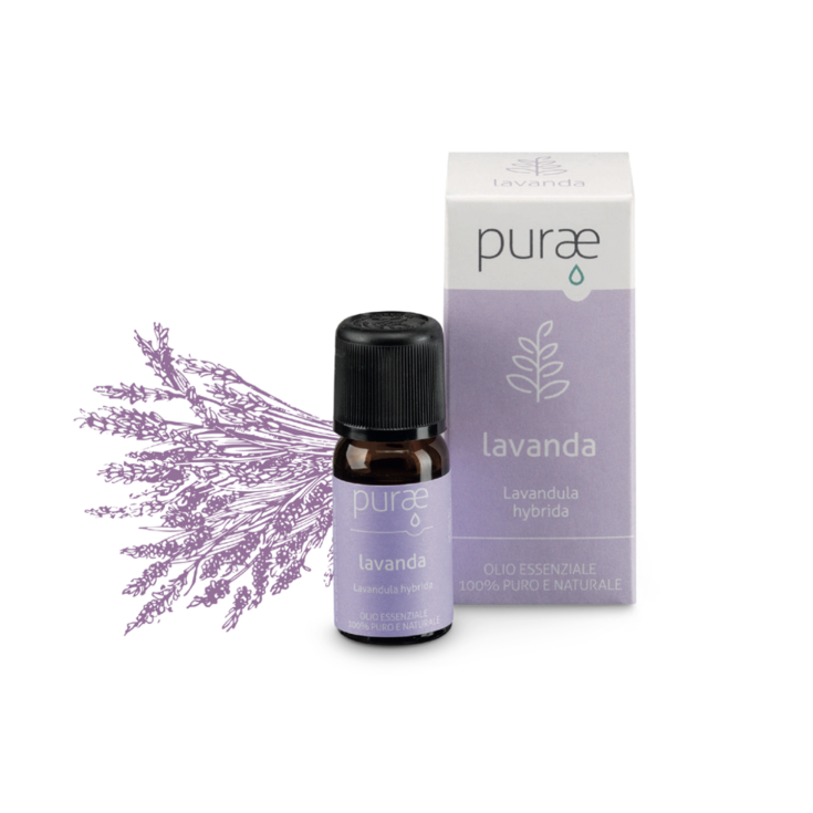 PURAE Lavendel 10ml