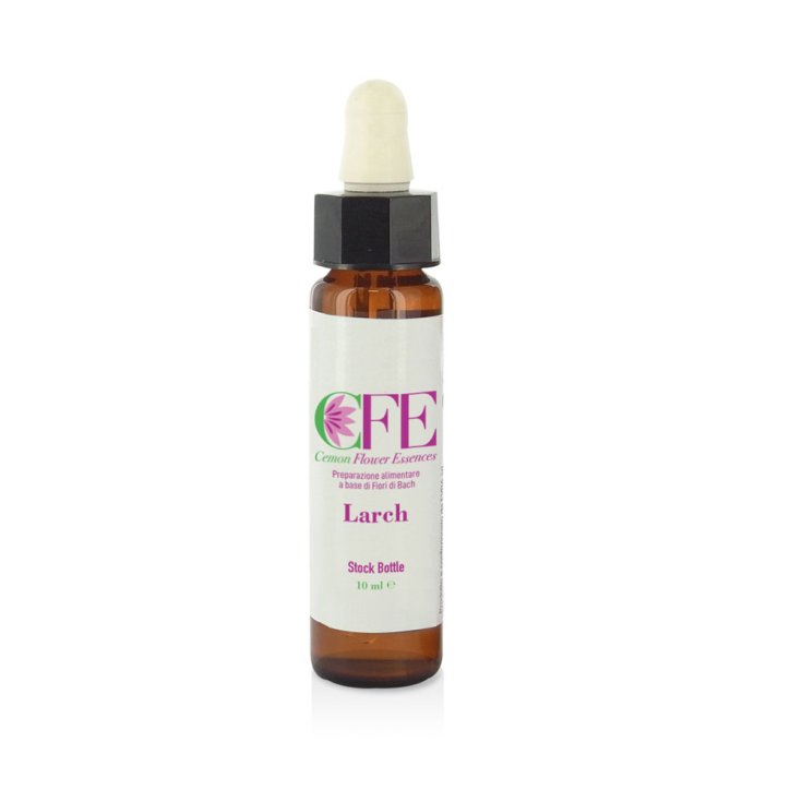 Lärche Cemon Flower Essences Vorratsflasche 10ml