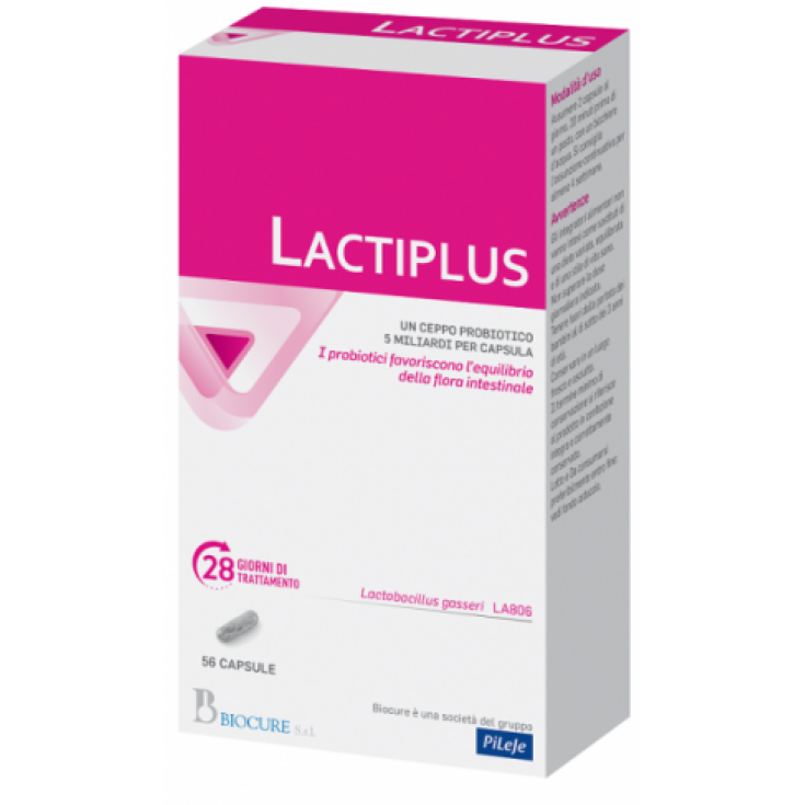 LACTIPLUS BIOCURE 56 Kapseln