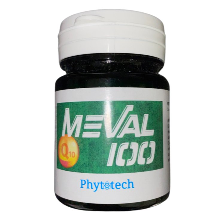 Meval 100 Phytotech 30 Tabletten