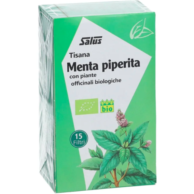 Peppermint Bio Kräutertee Salus 15 Filter