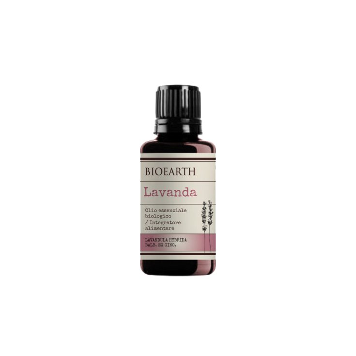 Lavendel Bio ätherisches Öl Bioearth 10ml