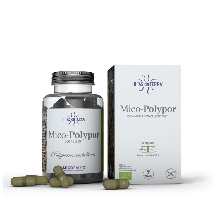 Gemahlenes Mico-Polypor Hifas 70 Kapseln