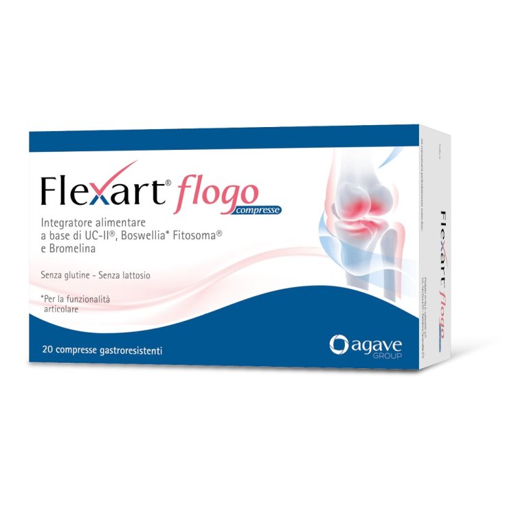 Flexart Flogo Agave 20 Tabletten