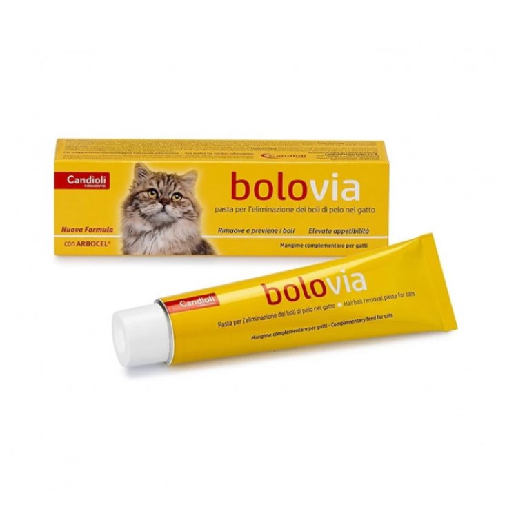 BOLUS ÜBER PASTA KATZEN 100G