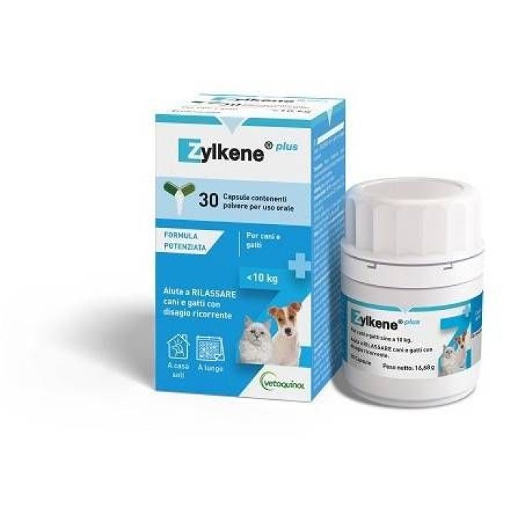 ZYLKENE PLUS HUNDE / KATZEN 10KG