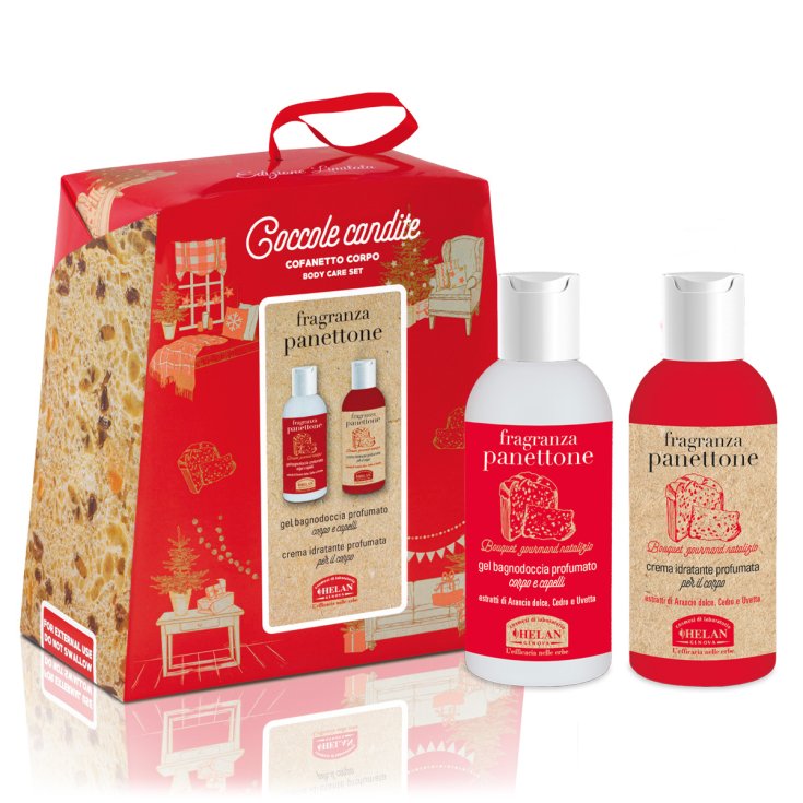 KÖRPER PANETTONE BOX