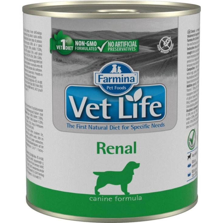 VET LIFE DOG RENAL 300G