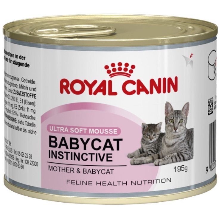 WF CAT BABYCAT INSTICTIVE 195G