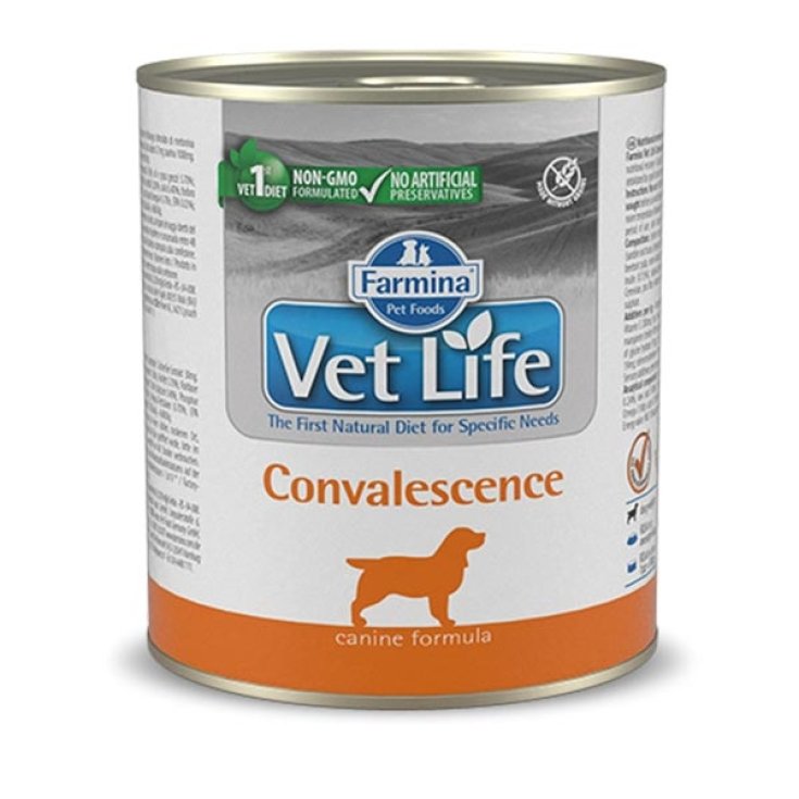 VET LIFE HUND REKONVALESZENZ300G