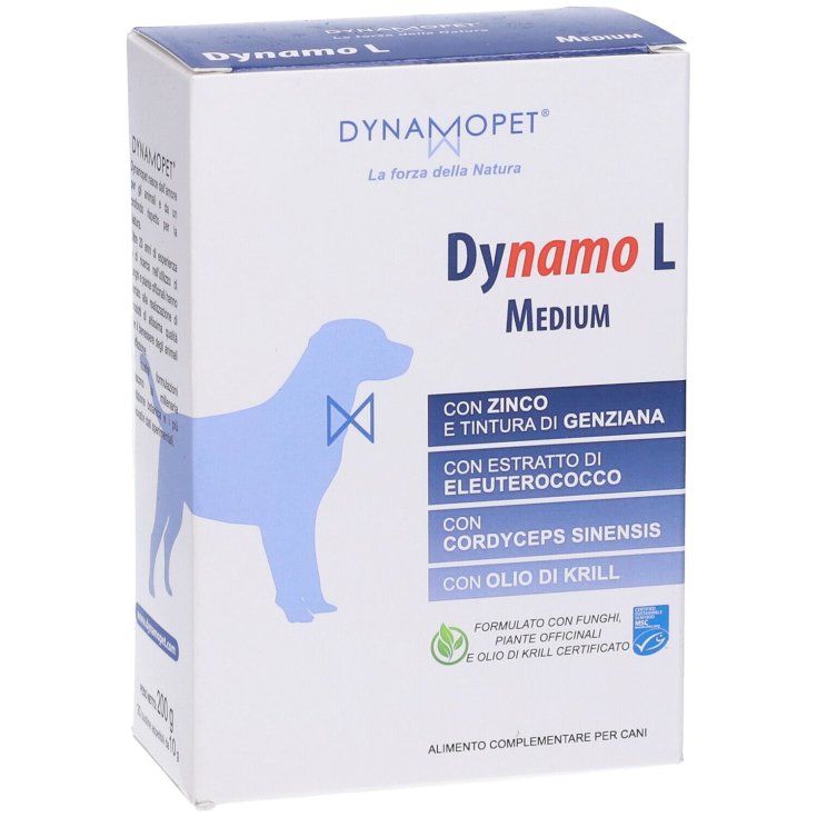DYNAMO L MITTEL 20BUST 10G