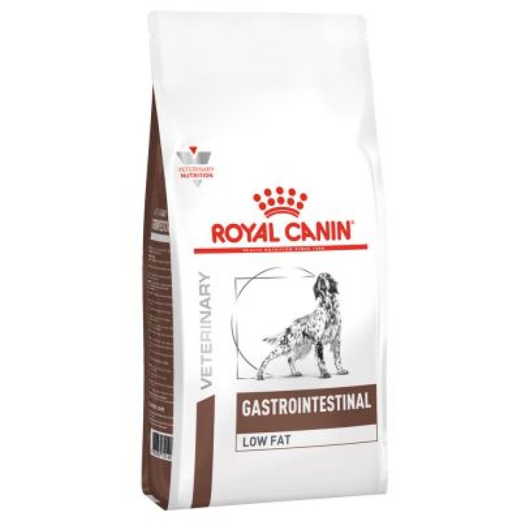 VHN HUND GASTRO INTEST LOW1,5KG