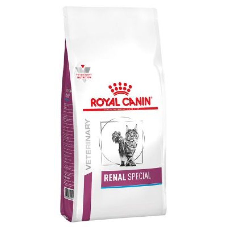 VHN CAT RENAL SPECIAL 2KG