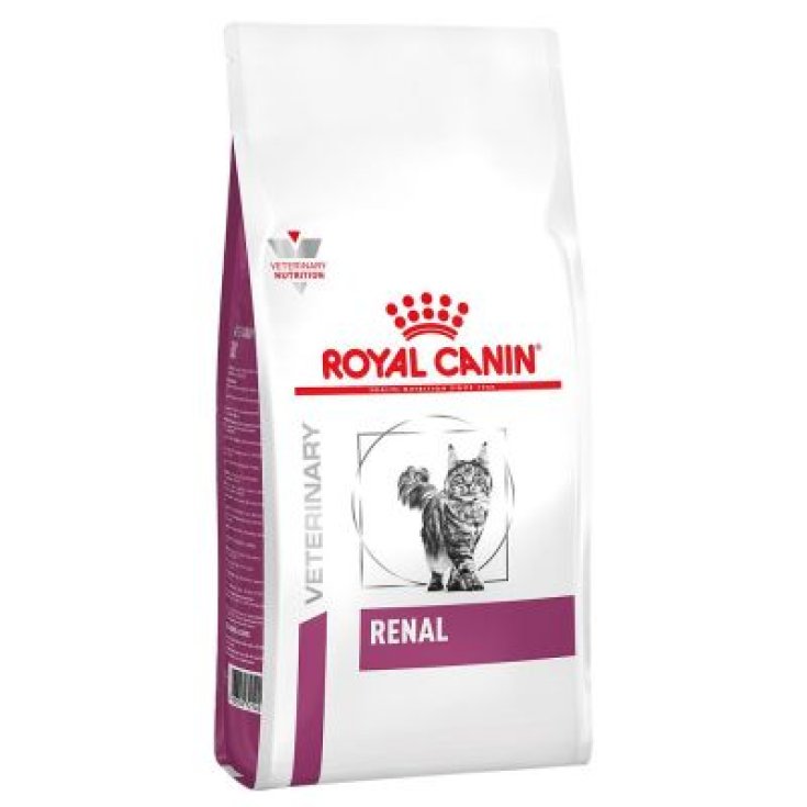 VHN CAT RENAL 2KG