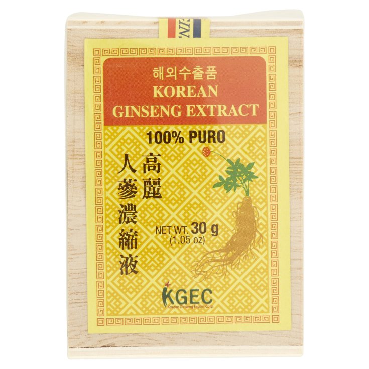 KOREANISCHER GINSENG-EXTRAKT 100 % PU