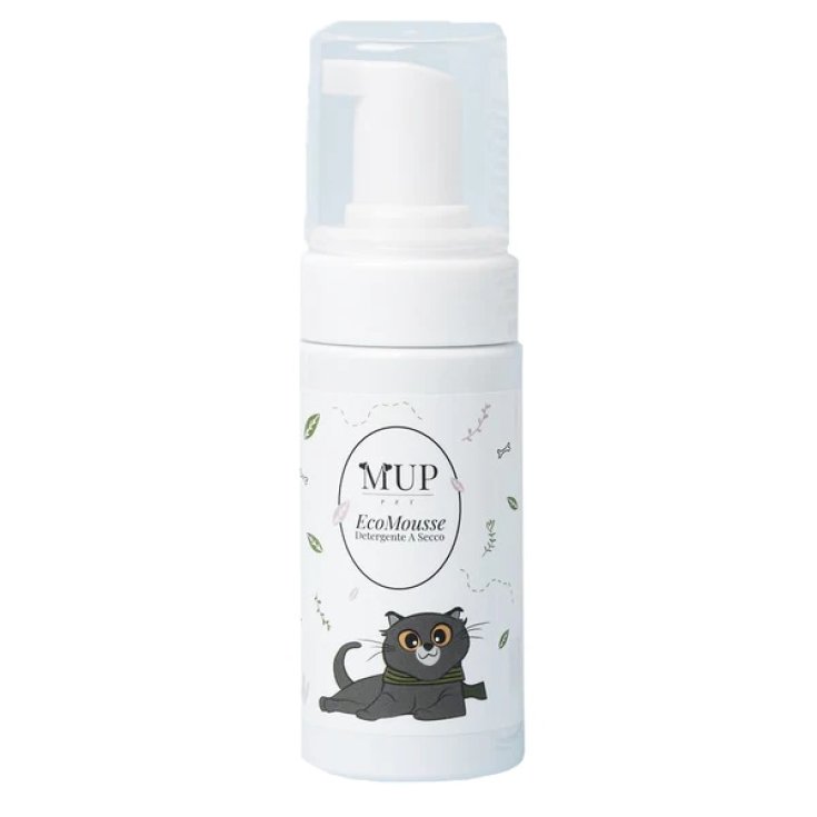 Eco Mousse Trockenreiniger MUP PET 100ml