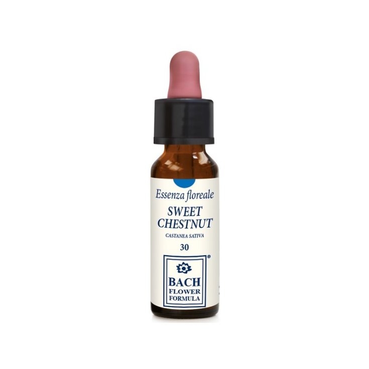 EDELKASTANIE ORIGINAL 10ML